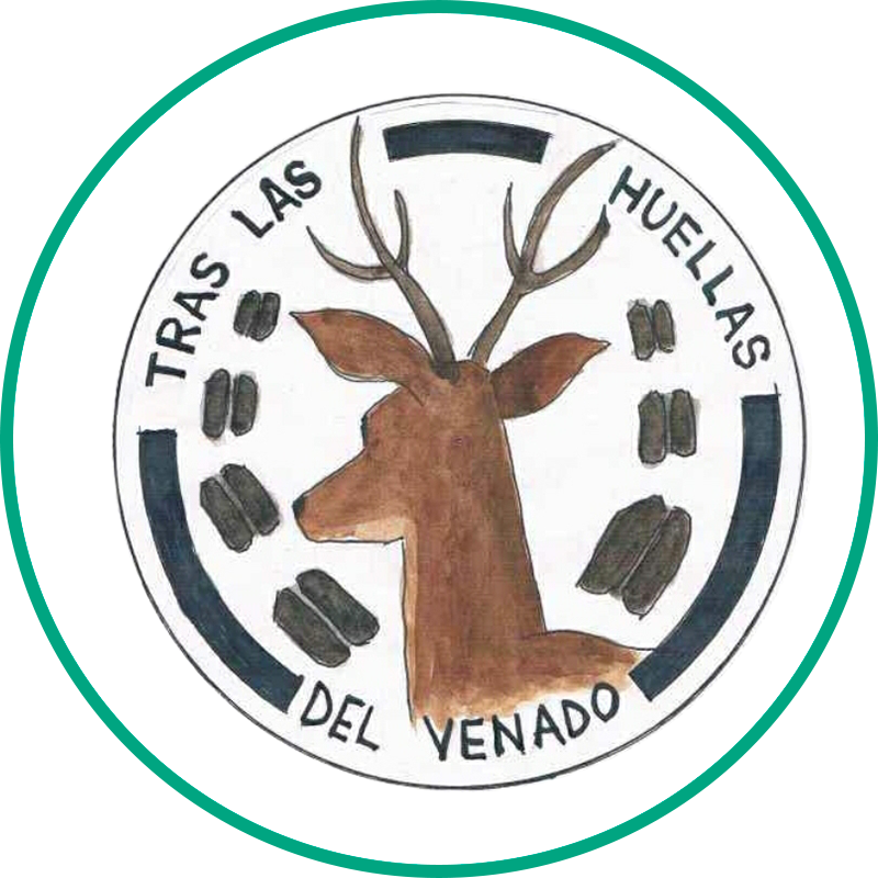 Tras las huellas del venado