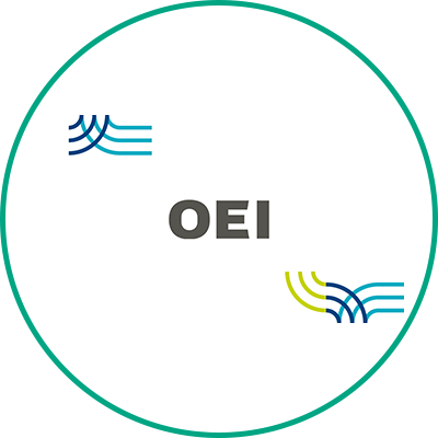 Instituto de Investigaciones Químicas Biológicas, Biomédicas y Biofísicas, Universidad Mariano Gálvez