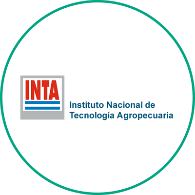 Universidad del Valle de México